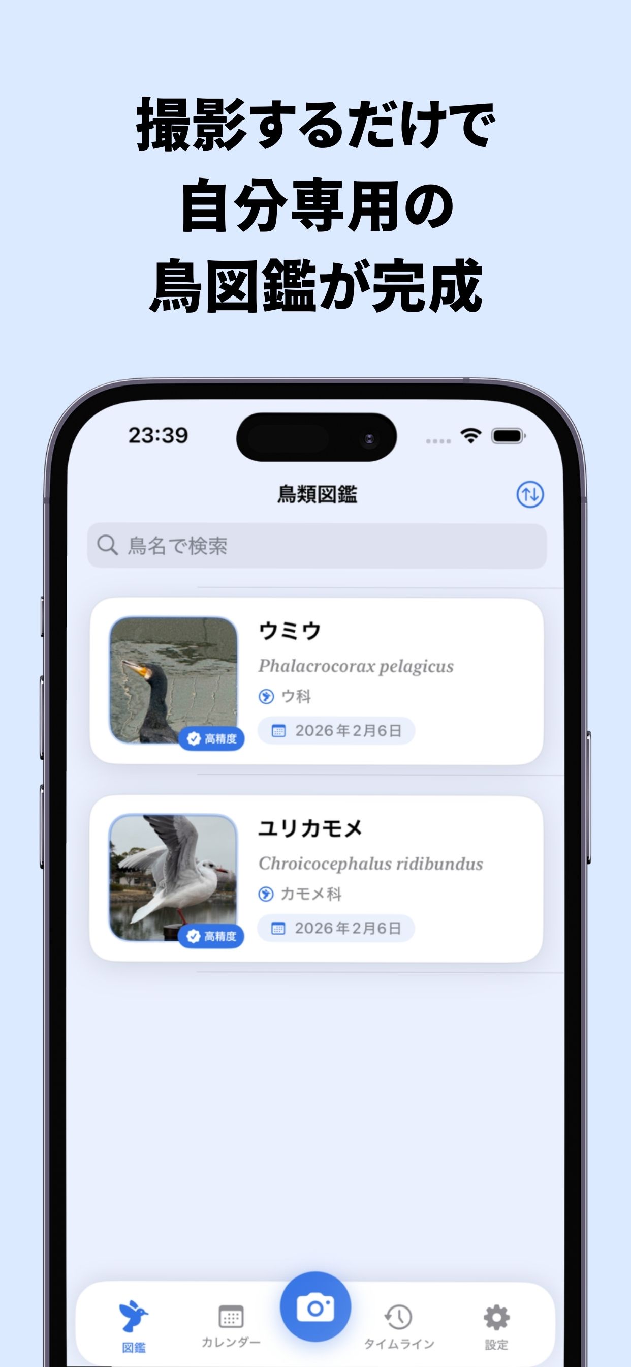 コレクション画面